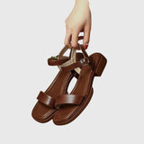 https://cdn.shopify.com/s/files/1/0925/5895/0777/files/dfe26b4a70a343db8a1fc21ba6fe29df.jpg?v=1782165215