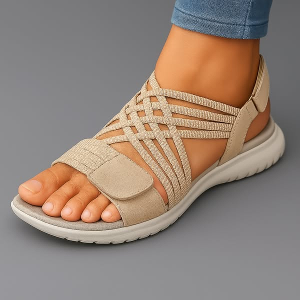 https://cdn.shopify.com/s/files/1/0925/5895/0777/files/5_1c8add6f-0a4b-4ecc-af76-aec9d0b6eb01.png?v=1779543294