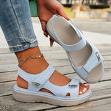 https://cdn.shopify.com/s/files/1/0925/5895/0777/files/9a39c0ef-7524-481c-862c-a15a4bfe25df.jpg?v=1779543350